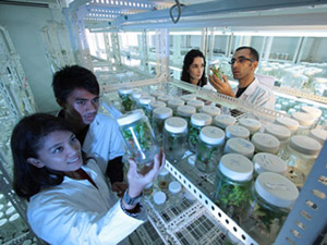 Science Laboratory 长期批发价的ddos网页端源码